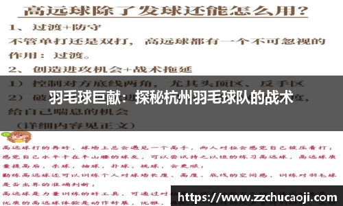 羽毛球巨献：探秘杭州羽毛球队的战术